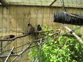 IMG_5563.JPG