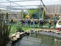 IMG_5569.JPG