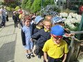 IMG_5570.JPG