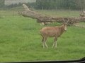 IMG_0822.JPG