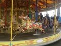 IMG_0842.JPG