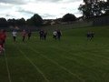 IMG_3344.JPG