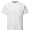 Generic C 86851723 Russell ZT180 White T-Shirt.thumb.jpg