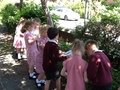 IMG_3443.JPG