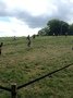 IMG_2904.JPG