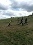 IMG_2905.JPG