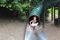 IMG_0849.JPG