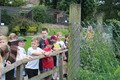 IMG_1256.JPG