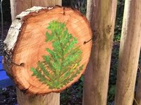 Wood Slice Bella.jpg