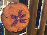 Wood Slice Hannah.jpg