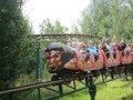 IMG_2647.JPG