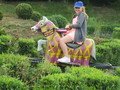 IMG_2723.JPG