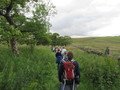IMG_2347.JPG