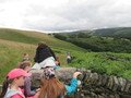 IMG_2349.JPG
