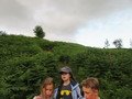 IMG_2353.JPG