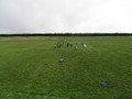 IMG_2355.JPG