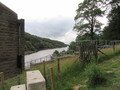 IMG_2356.JPG