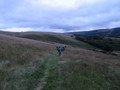 IMG_2360.JPG