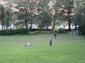 IMG_2497.JPG