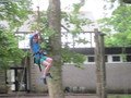 IMG_2665.JPG
