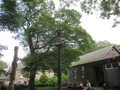 IMG_2678.JPG