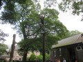 IMG_2679.JPG