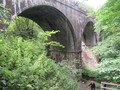 IMG_2552.JPG