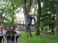 IMG_2568.JPG