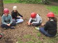 IMG_2579.JPG