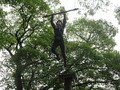 IMG_2587.JPG