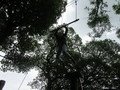 IMG_2591.JPG