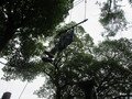 IMG_2596.JPG
