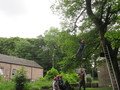IMG_2635.JPG