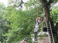 IMG_2641.JPG