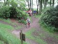 IMG_2660.JPG