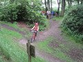IMG_2661.JPG