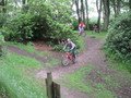 IMG_2664.JPG