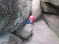 IMG_2698.JPG