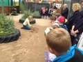 IMG_1017.JPG