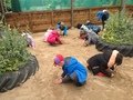 IMG_1018.JPG