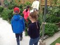 IMG_1027.JPG