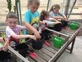 IMG_1046.JPG