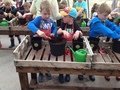 IMG_1049.JPG