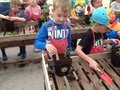 IMG_1063.JPG