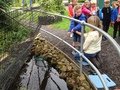 IMG_1090.JPG