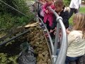 IMG_1092.JPG