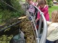 IMG_1094.JPG