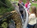 IMG_1097.JPG