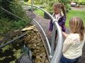 IMG_1101.JPG