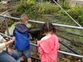 IMG_1105.JPG